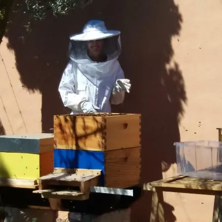 Alpesi faház Finca La Vida Llucmajor
